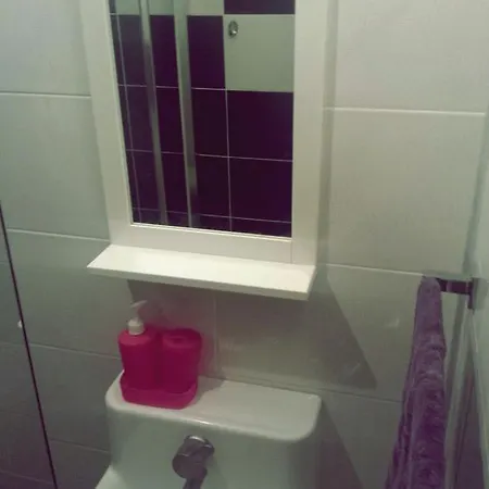 Apartmant Palaca マカルスカ